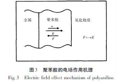 圖3  聚苯胺的電場作用機理