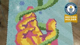 PPG獲得最大的油漆馬賽克的最佳世界紀錄