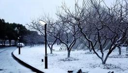 緊急:大雪封路！多省物流放假停運(yùn)！