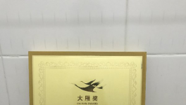 三棵樹榮獲 2018年度“大雁獎(jiǎng)——中國家居產(chǎn)業(yè)大國工匠獎(jiǎng)”
