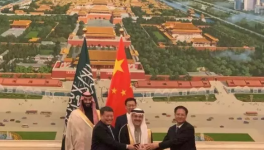 700億元！最大中外合資企業(yè)化工項目落地！
