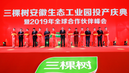 三棵樹(shù)安徽生態(tài)工業(yè)園投產(chǎn)慶典隆重召開(kāi)