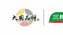 三棵樹入選科技巨頭華為集團(tuán)外墻涂料與地坪漆戰(zhàn)略合作供