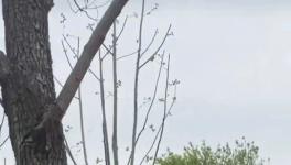 火爆！太火爆了！這次不是訂單........