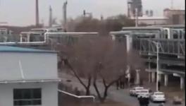 突發(fā)！一化工廠3名員工被殺！1人受傷！