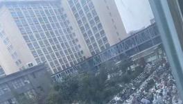 辟謠！20000人確診不實！企業(yè)集體放假！