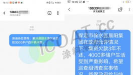晨陽“又火了”！債又“逾期”了！