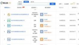 女富豪8.5億收購洪匯新材！“90后”掌門無班可接？