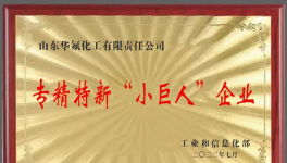 打破行業(yè)壁壘！華氟化工受工信部欽點！