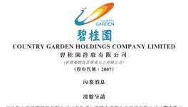 “化工大王”向碧桂園“發(fā)難”！“踩踏”開始蔓延！