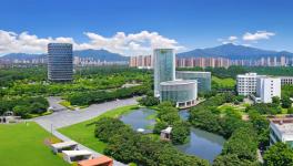 三棵樹一舉斬獲四項(xiàng)中國涂料工業(yè)單項(xiàng)冠軍