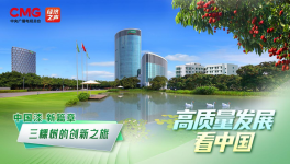 中國漆 新篇章：三棵樹的創(chuàng)新之旅