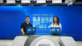 8小時(shí)“馬上住”新家？三棵樹的底氣來(lái)源于哪里？
