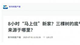 8小時(shí)“馬上住”新家？三棵樹的底氣哪里來？  