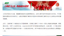 千年荔韻啟新章！三棵樹(shù)第二十屆荔枝文化節(jié)圓滿落幕        