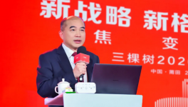三棵樹董事長兼總裁洪杰：企業(yè)要回應年輕消費者的期待
