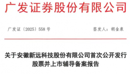 1人死亡！環(huán)保處罰51萬！安徽新遠(yuǎn)要IPO！