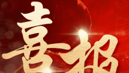 精心打造！脫穎而出！金海鈦業(yè)金紅石型鈦白粉榮耀上榜！