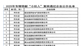 微觀公司順利通過(guò)“國(guó)家級(jí)專(zhuān)精特新‘小巨人’企業(yè)”復(fù)審