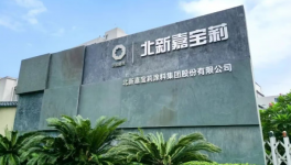 嘉寶莉地坪材料成2026電建地產(chǎn)集采唯一入選企業(yè)
