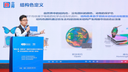 立邦結(jié)構(gòu)色技術(shù)，重新定義高端汽車“顏值天花板”