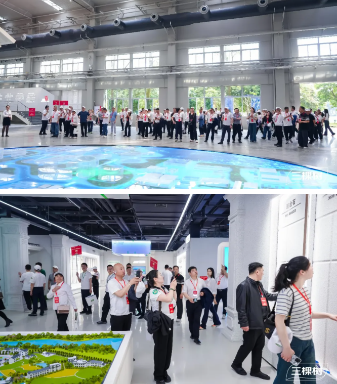 開新局·啟新程·謀共贏三棵樹2026年全國經(jīng)銷商年會圓滿舉行