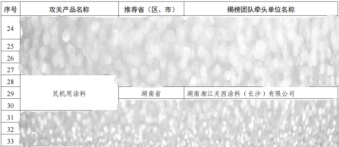 湘江關(guān)西揭榜國(guó)家級(jí)民機(jī)涂料任務(wù)，劍指高端打破壟斷