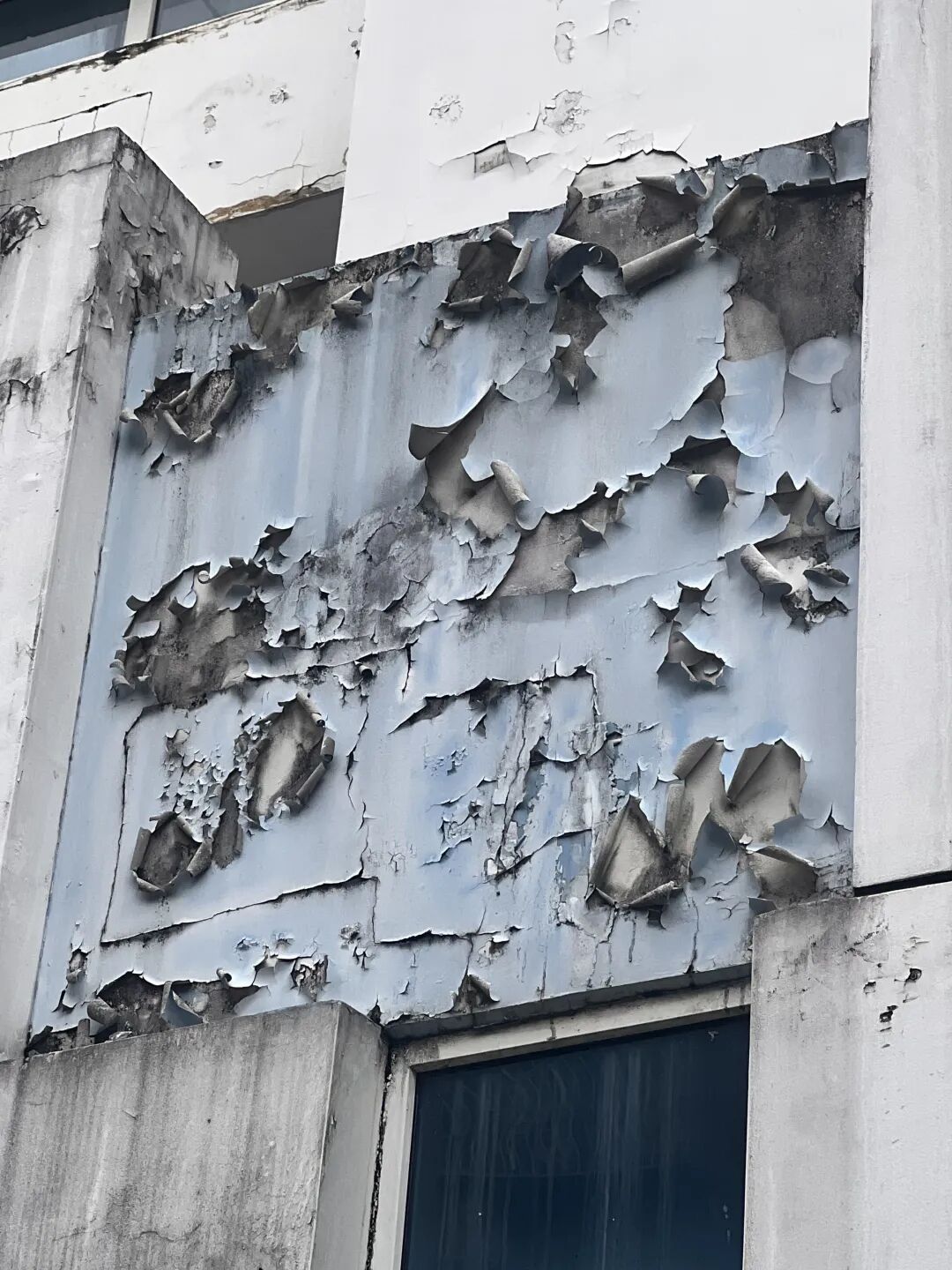 再添省級項目！美涂士何以成政務公建涂料優(yōu)選？